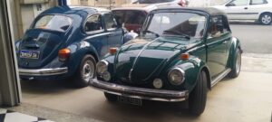 assembleia_26-10-24_fuscas